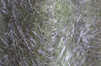 Otterburn fibreglass roof work